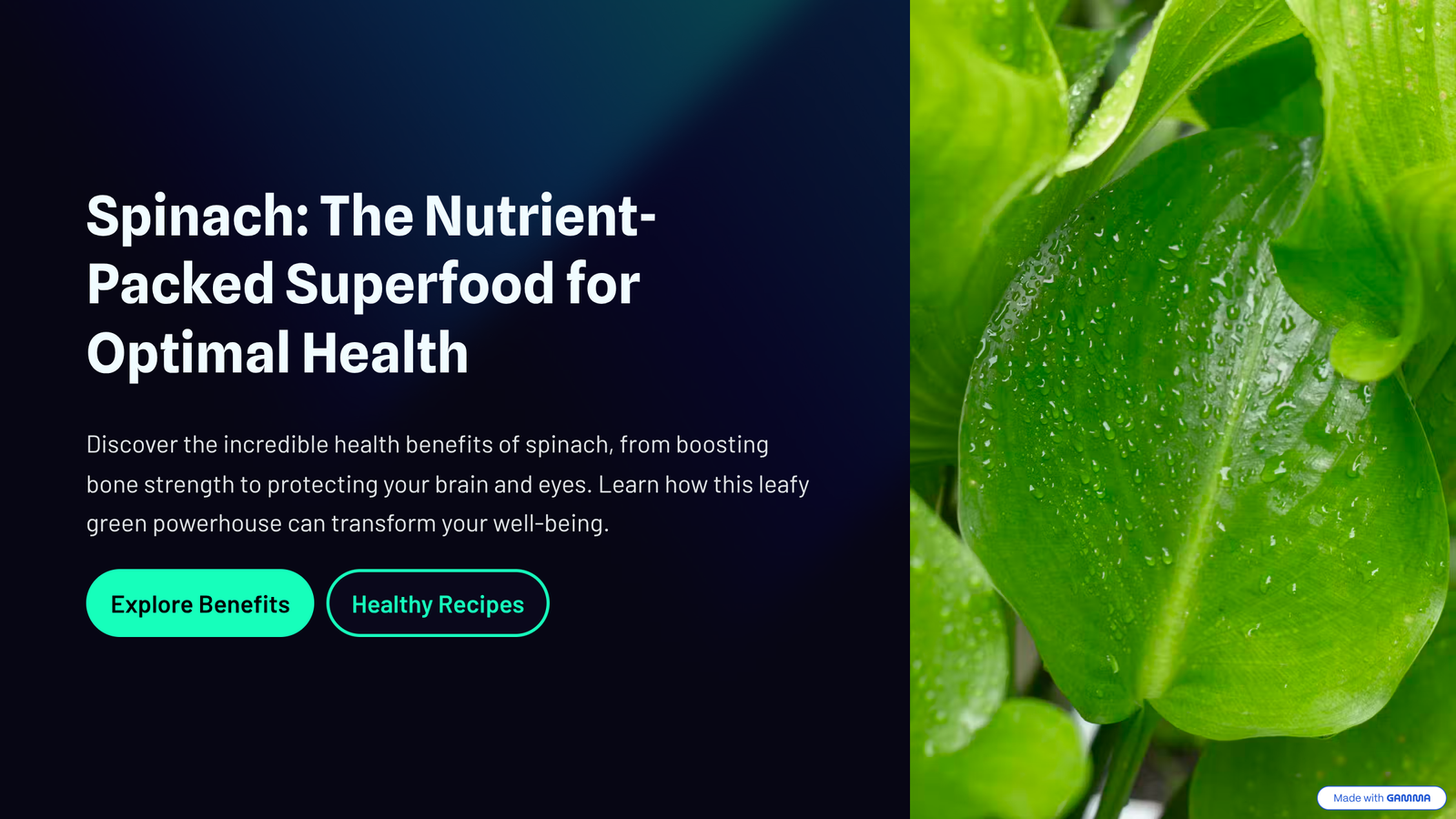 1_Spinach-The-Nutrient-Packed-Superfood-for-Optimal-Health