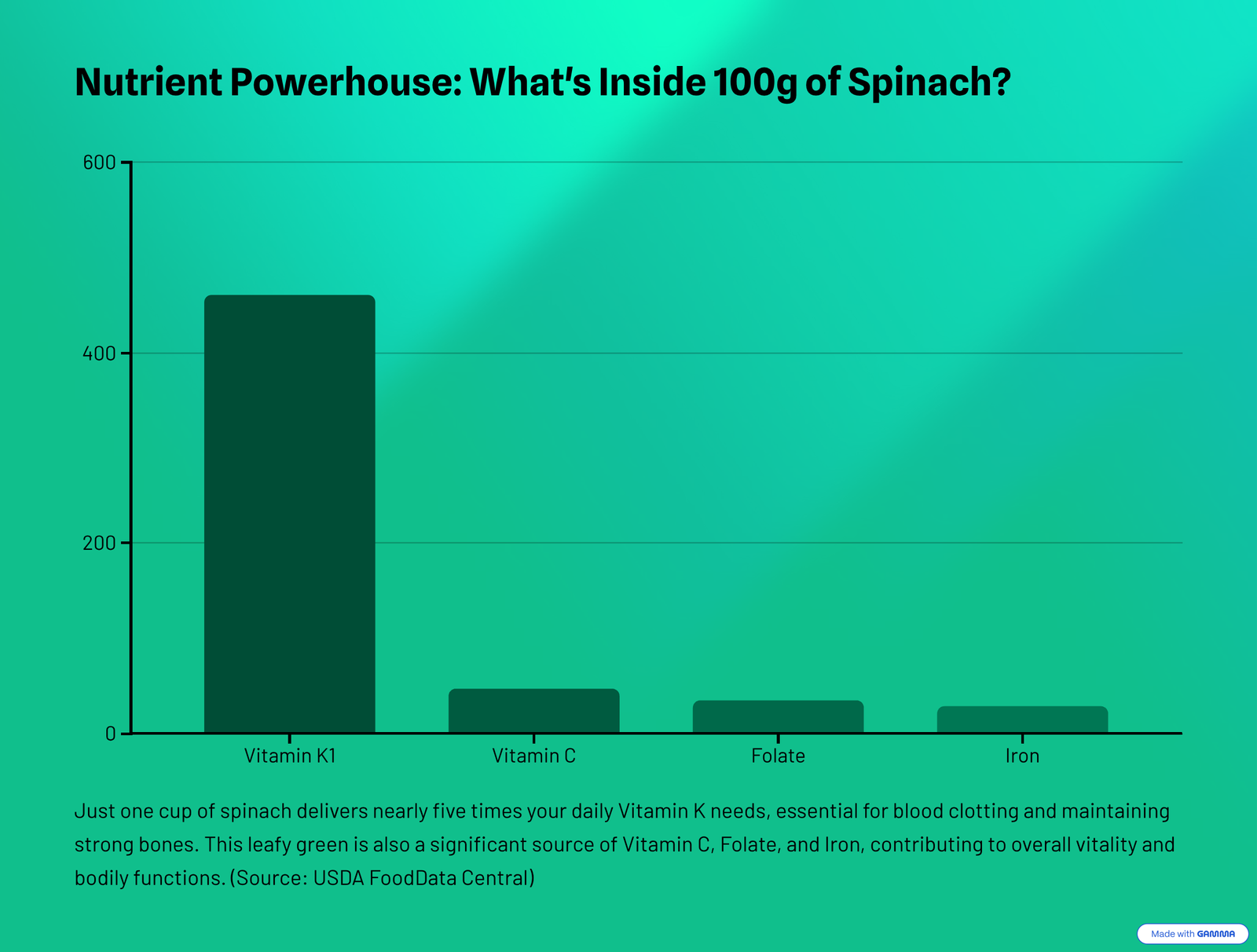 2_Nutrient-Powerhouse-Whats-Inside-100g-of-Spinach