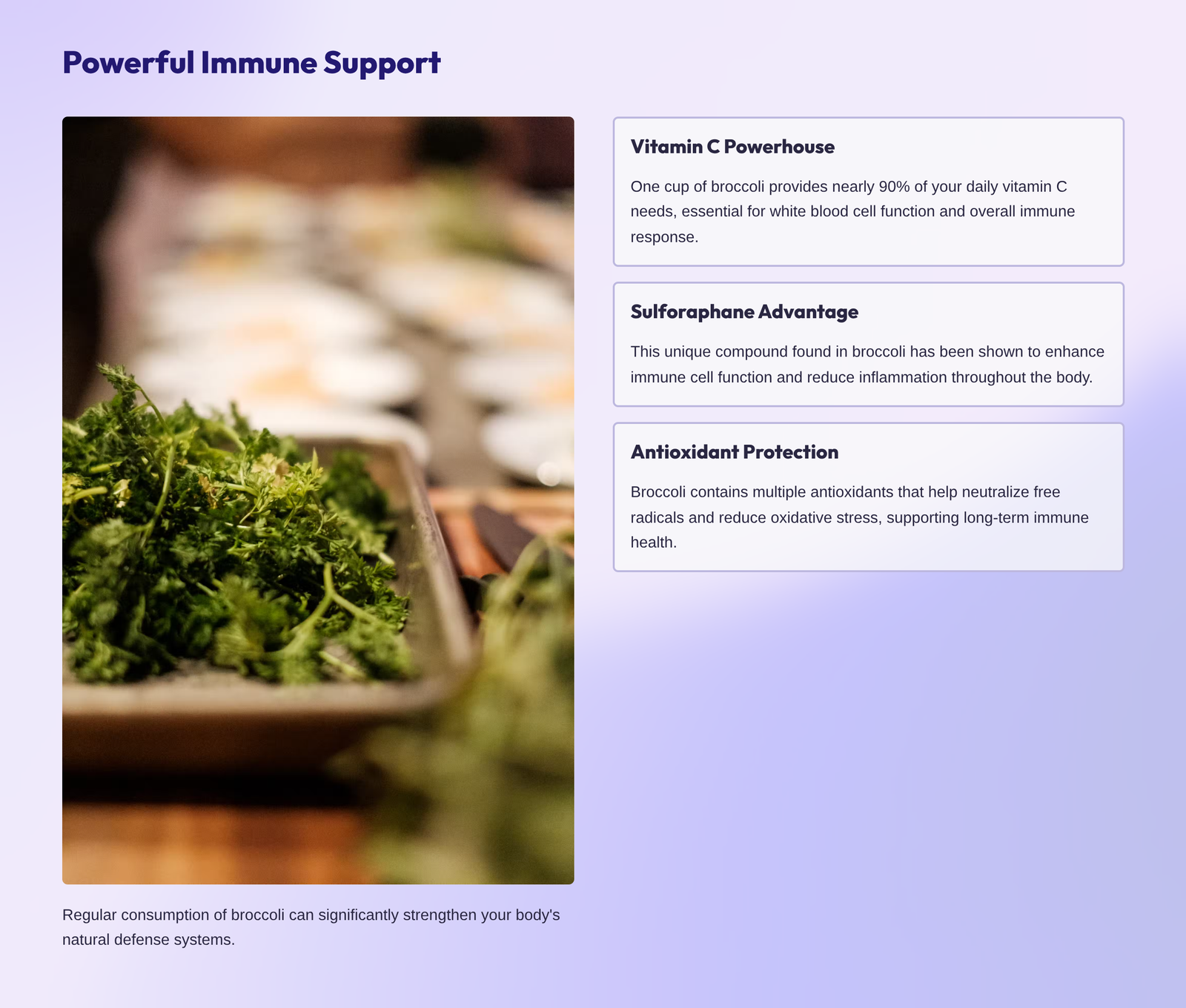 3_Powerful-Immune-Support